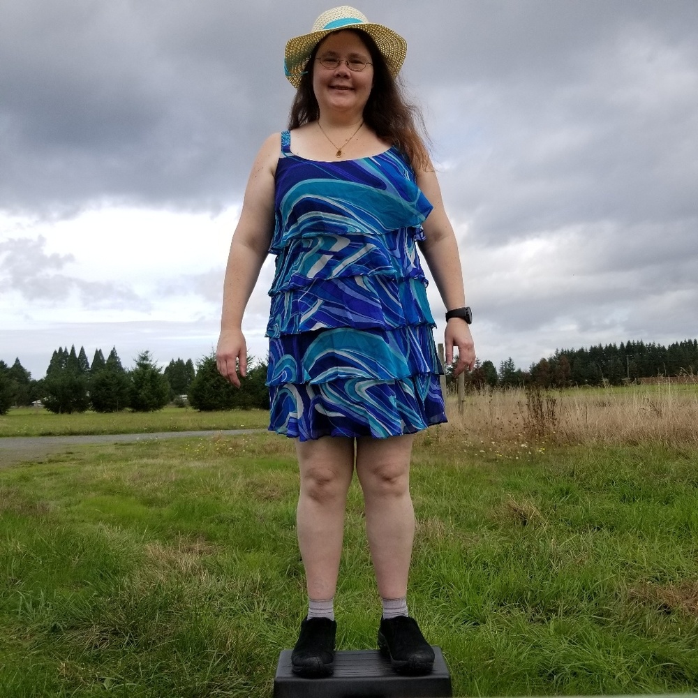 Robbie Bee blue white waves dress